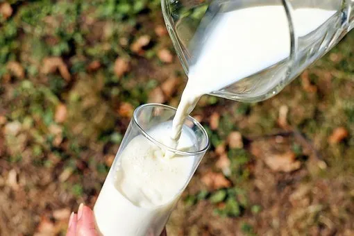 К 2030 году в Архангельской области планируют увеличить производство молока до 140 тысяч тонн – Минагропромторг